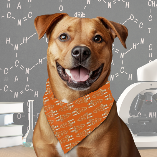 Atomic Fur-mula - Reversible