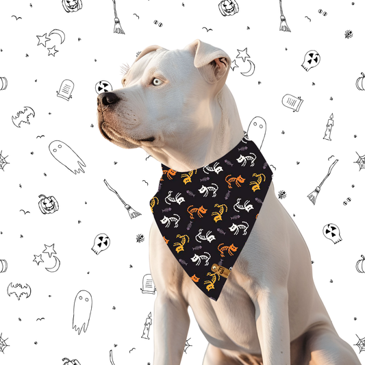 Spooktacular Stare - Glow in the Dark & Reversible