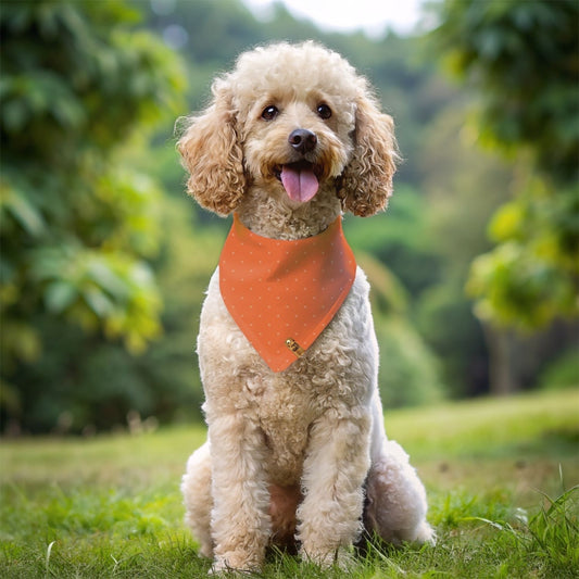 Pup-kin Spice