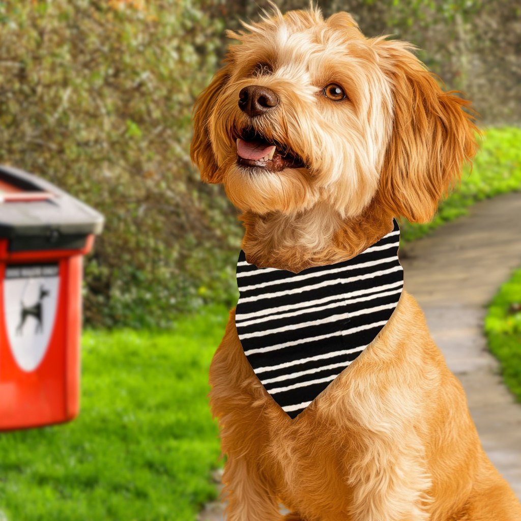 The Daily Barker - Reversible