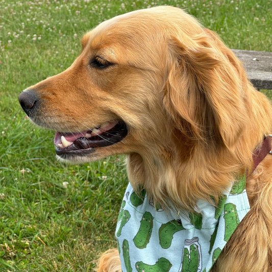 Kind of a Big Dill - Reversible Bandana