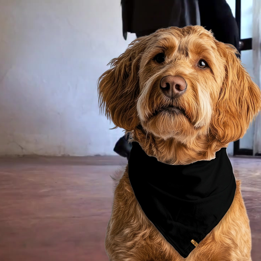 I Mustache You for a Treat - Reversible