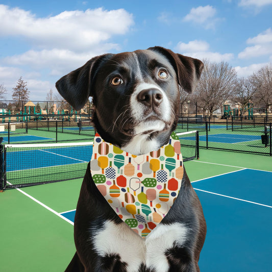 Let's Get Pickled! - Reversible