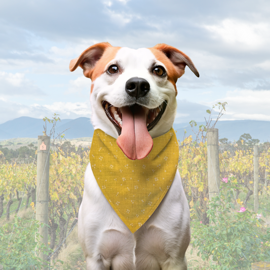 Gouda Dog - Reversible