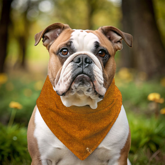 Wahoo Woof - Reversible