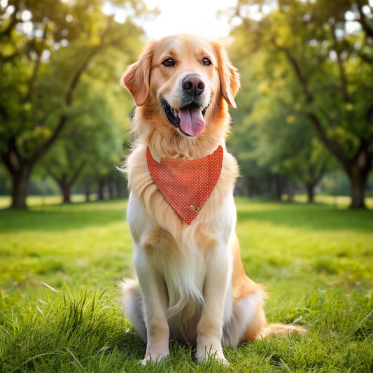 Golden Receiver - Reversible