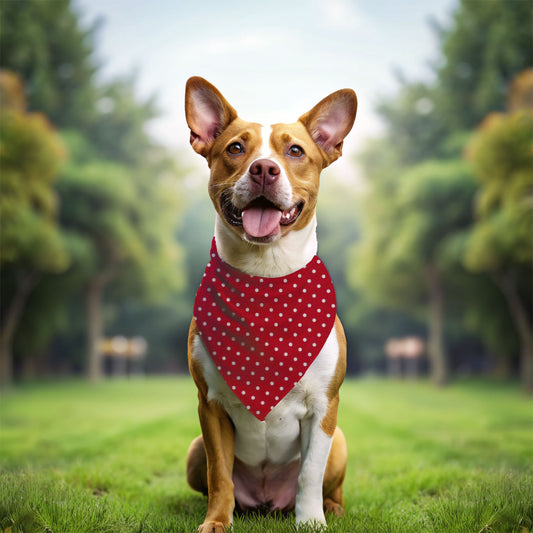 High Seas Mischief - Reversible