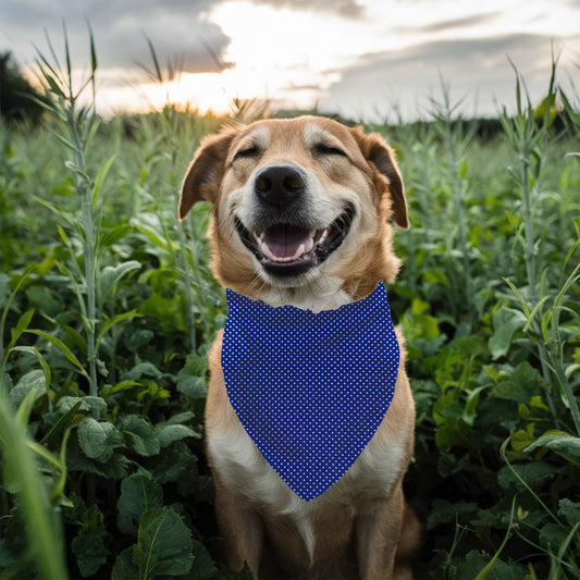 Berry Best Friend - Reversible