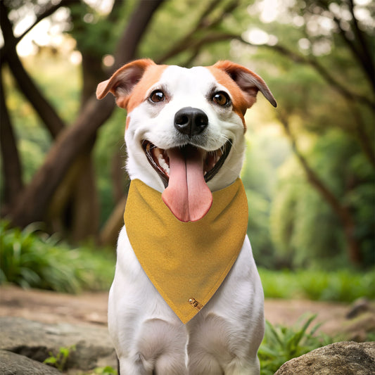 Grill Sergeant - Reversible