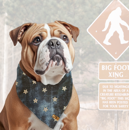 Doggone Roadtrip - Reversible