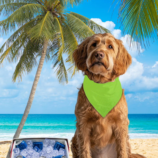 It's Fido'clock Somewhere - Reversible