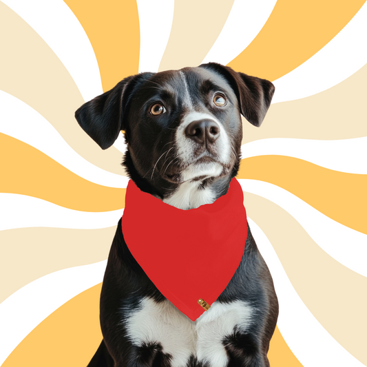 Love Out Loud - Reversible