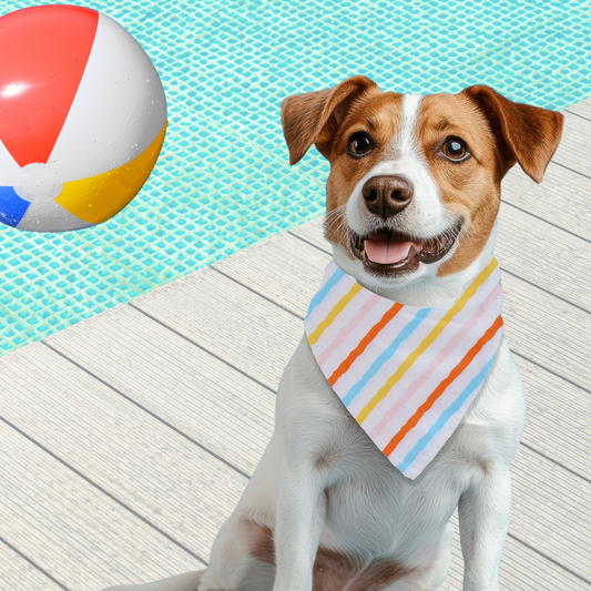 Pool Party Pooch - Reversible