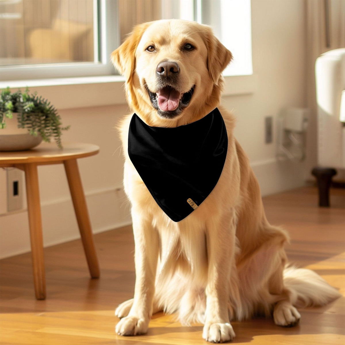 Glow in the Bark - Glow in the Dark Bandana