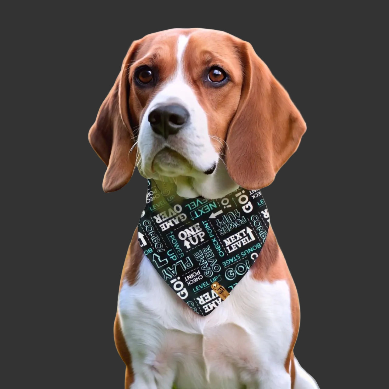 CTRL + WOOF