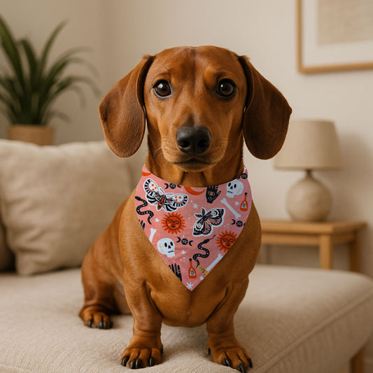 Madame Mutt