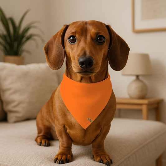 Madame Mutt