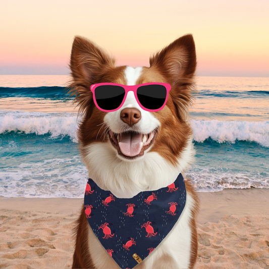 Crabby but Cute - Reversible Bandana