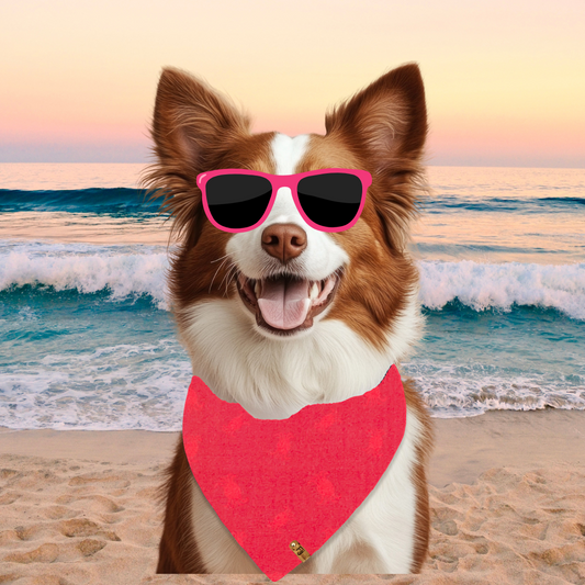 Crabby but Cute - Reversible Bandana