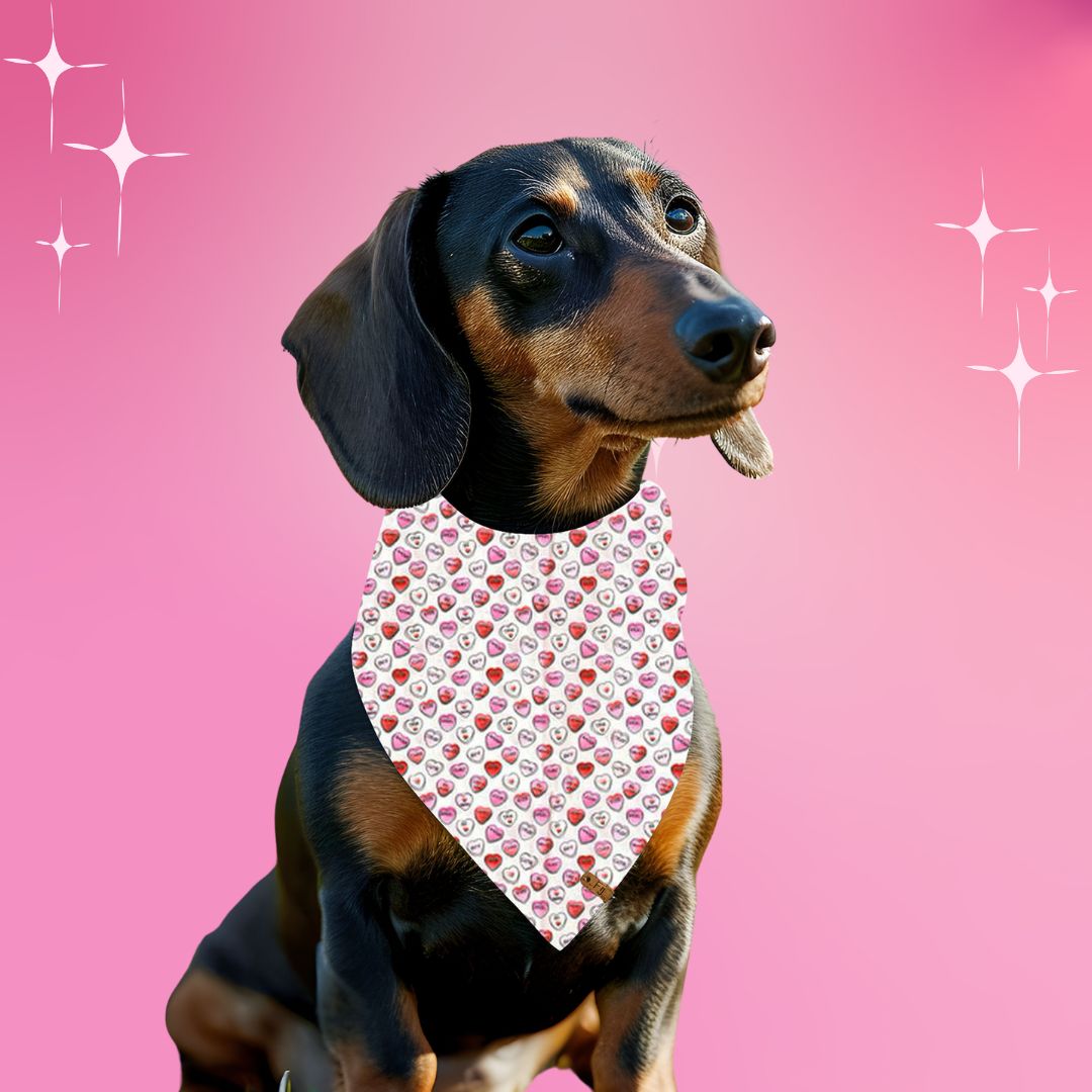 Candy Kisses - Reversible Bandana