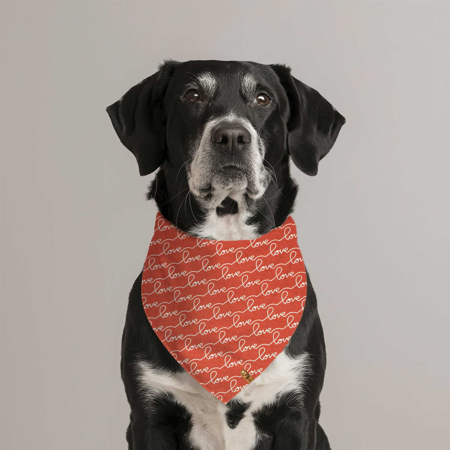 Double Shot of Love - Reversible Bandana