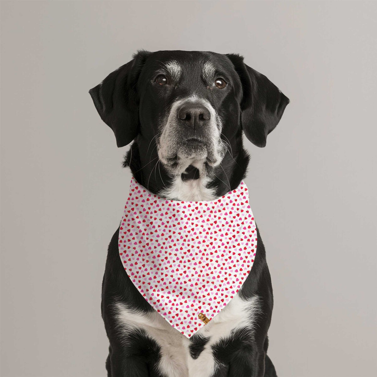 Double Shot of Love - Reversible Bandana