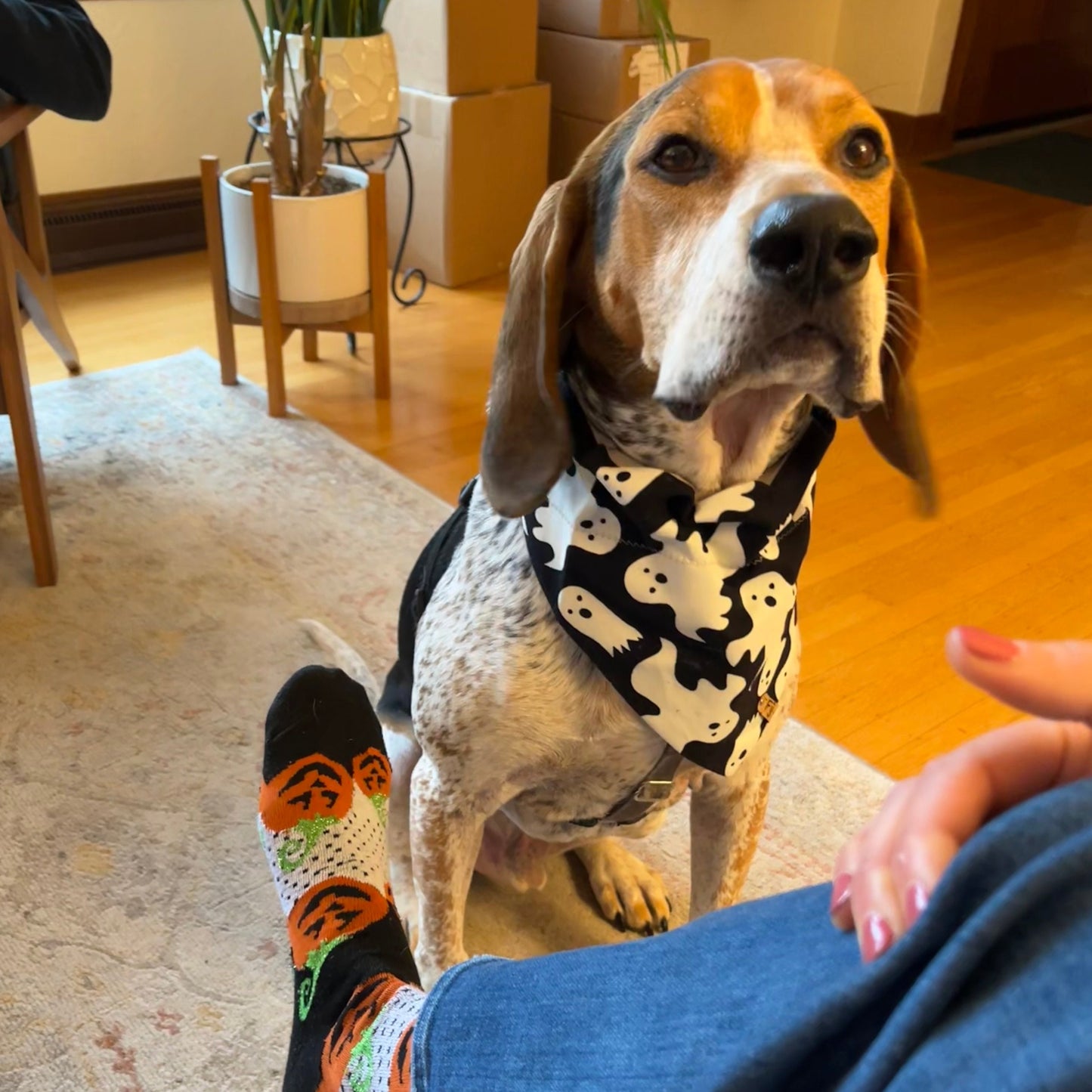 Glow in the Bark - Glow in the Dark Bandana