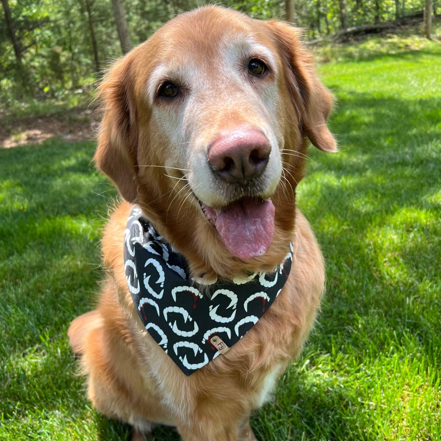 Doggy Dracula - Glow in the Dark Bandana