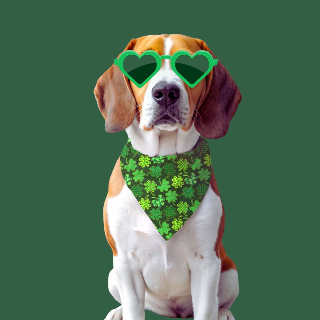 Shamrock Swagger - Reversible Bandana