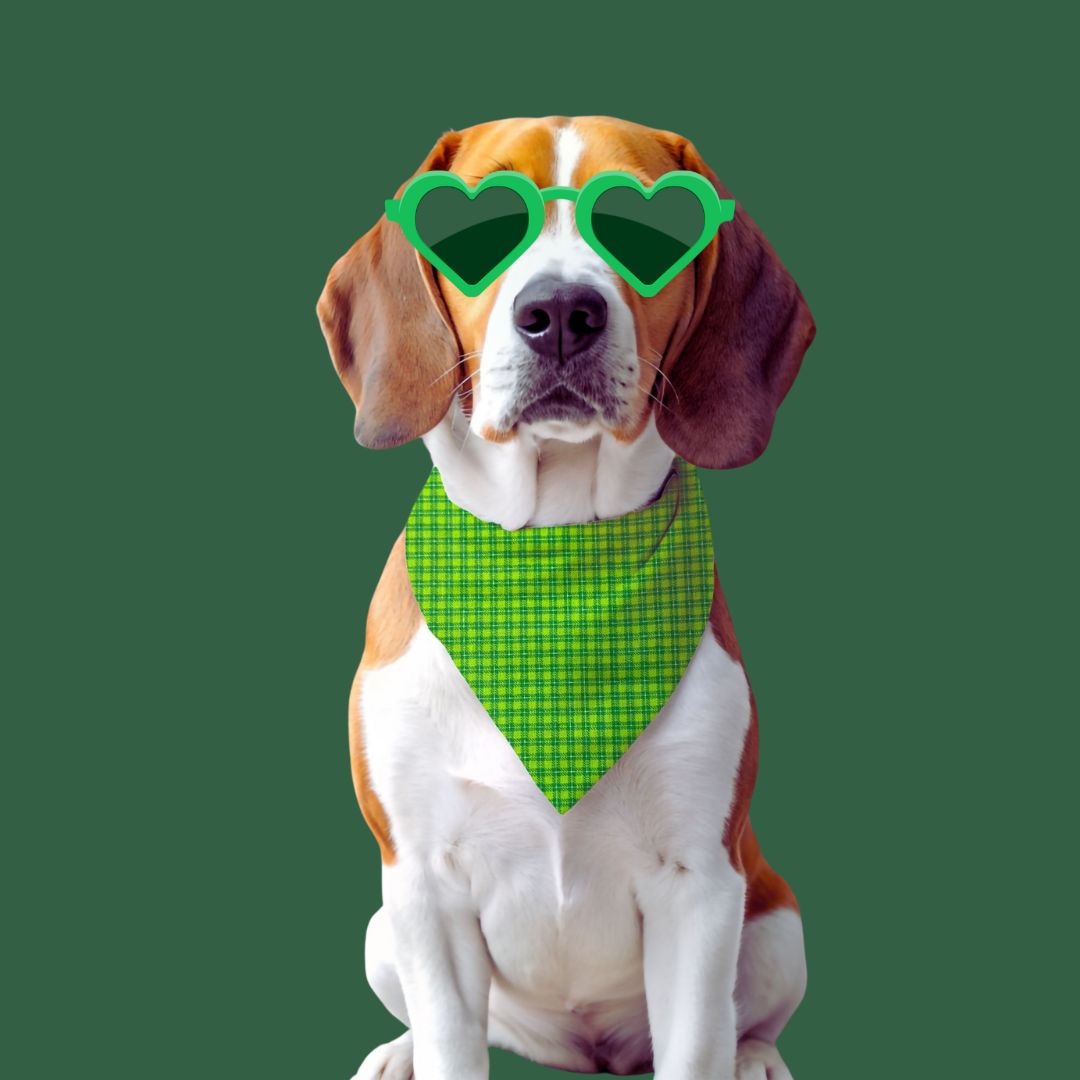 Shamrock Swagger - Reversible Bandana