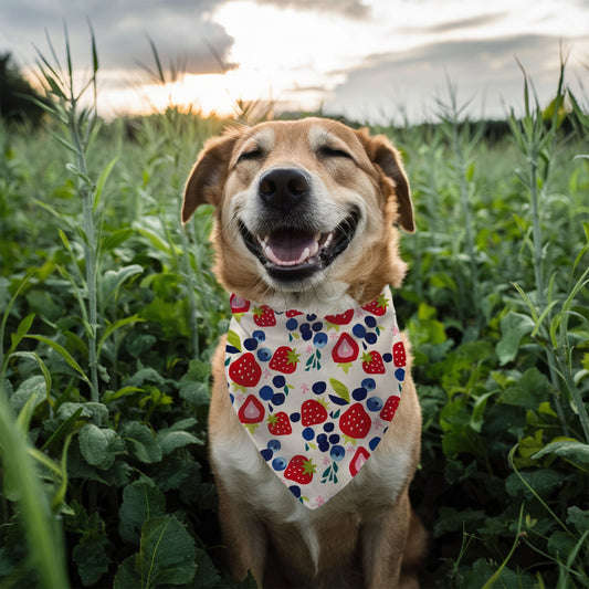 Berry Best Friend - Reversible