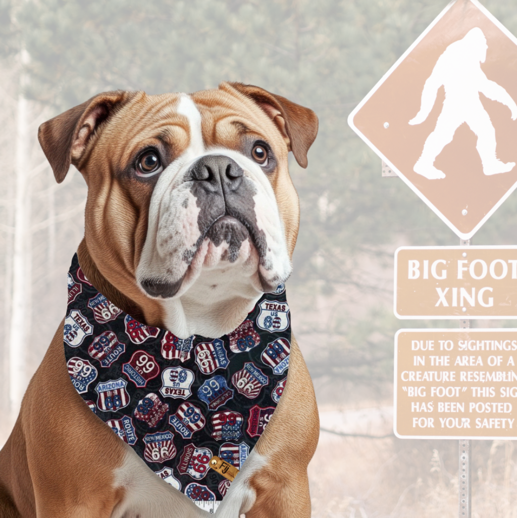 Doggone Roadtrip - Reversible