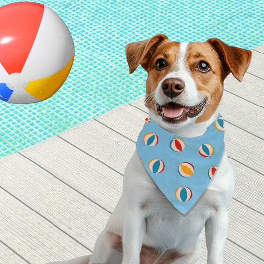 Pool Party Pooch