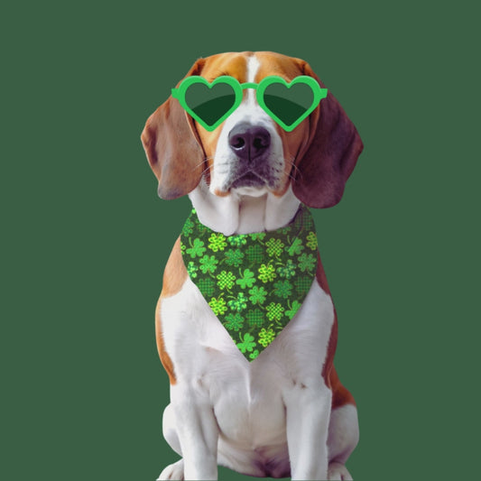 Shamrock Swagger - Reversible Bandana